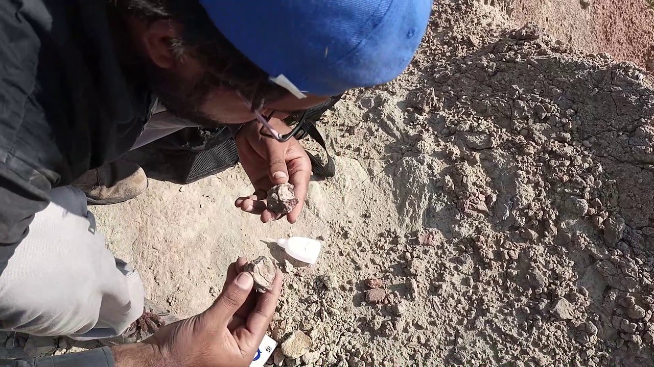One Day Field Work In the Dhok Bun Ameer Khatoon, district Chakwal