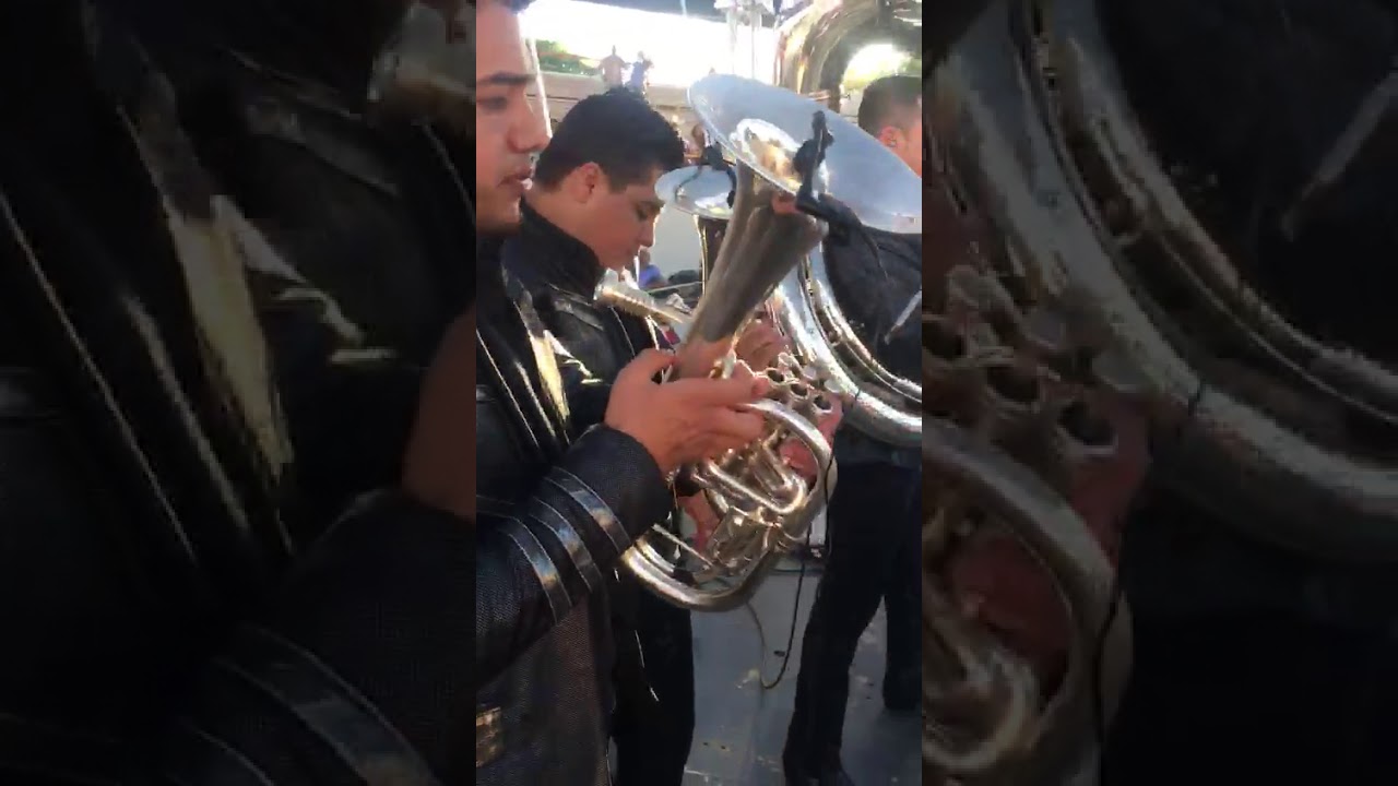 EL SINALOENSE 📯  completo