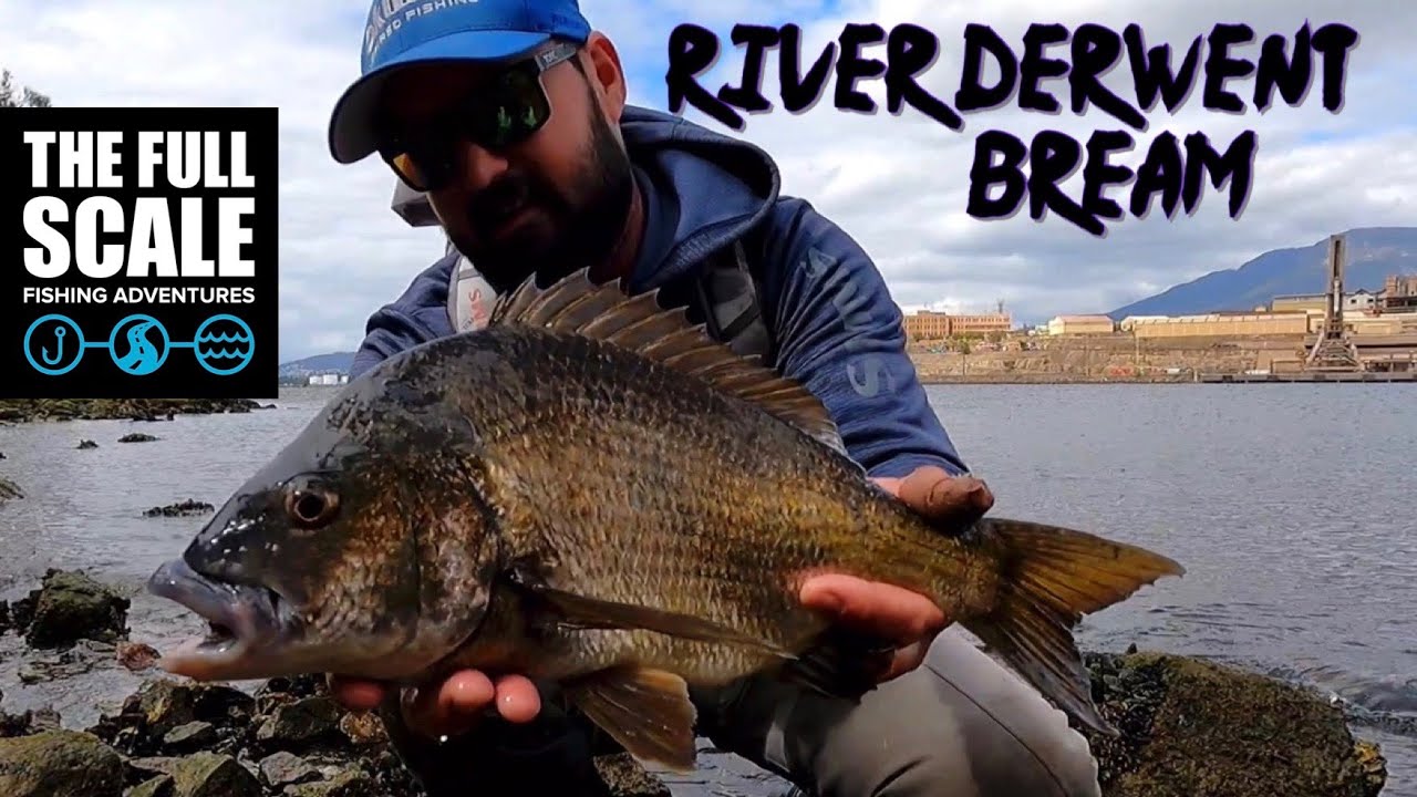 Landbased Bream Fishing | River Derwent Tasmania | The Full Scale