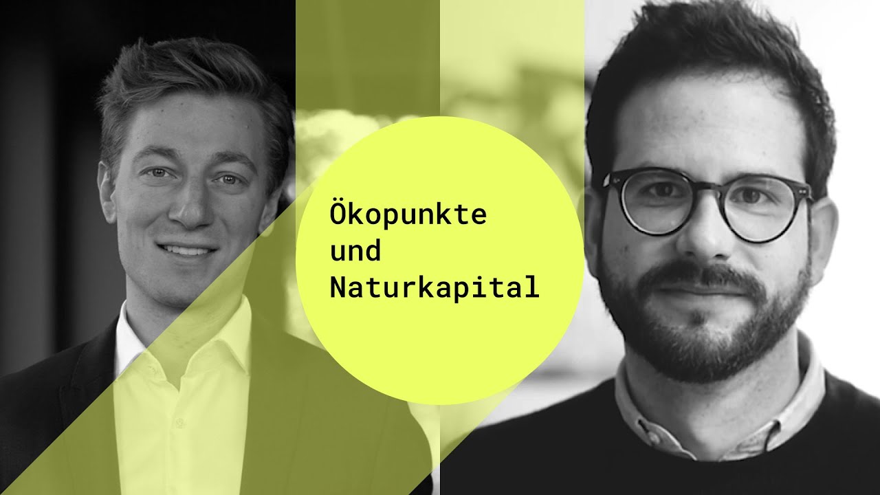 &Ouml;kopunkte und Naturkapital &ndash; Ein Impact Startup berichtet