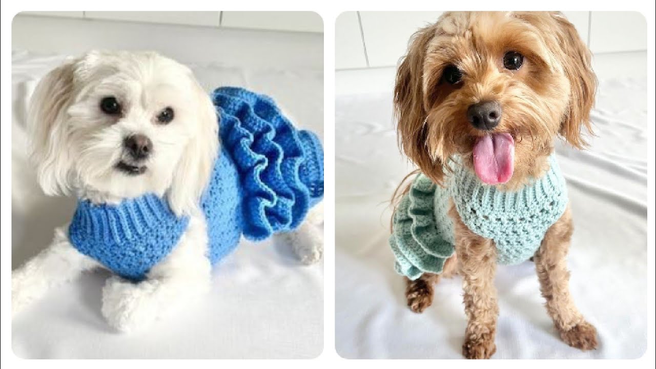 Most Gorgeous And Adorable Crocheting Bella toy dog outfit designs/colorful dog dress up ideas
