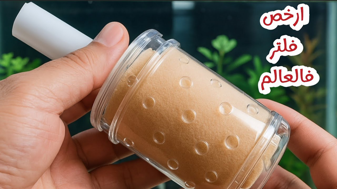طريقة صنع ارخص فلتر حوض سمك فالعالم