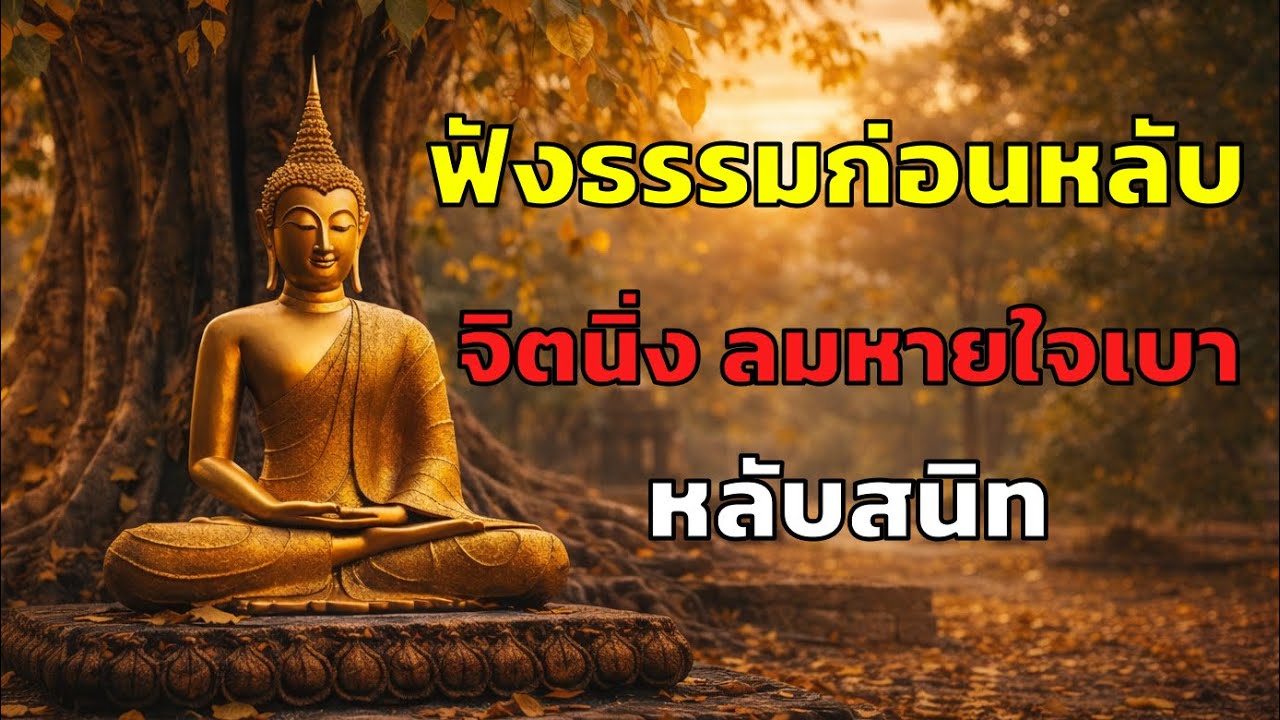 หากวันนี้คุณรู้สึกไม่สบาย ลองฟังเสียงธรรมอันสงบเงียบ ฟังตลอดทั้งคืน นอนหลับสนิท และปราศจากความกังวล