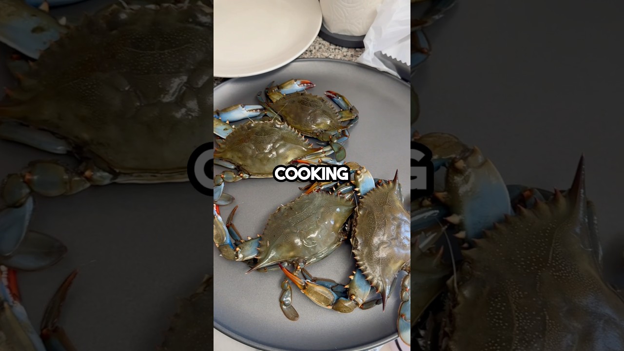 Catch and cook BLUECRAB! #fishingvideo #saltwaterfix #fishingbait #bluecrab #fish