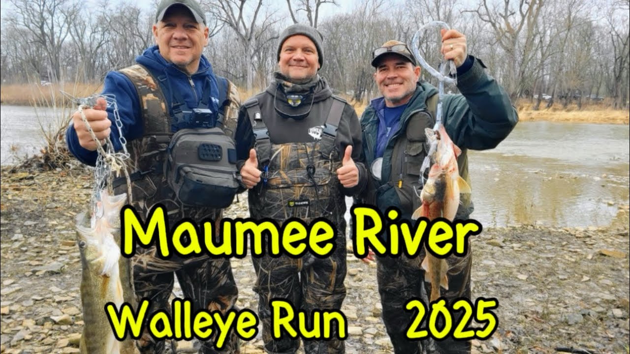 Maumee River Walleye Run 2025
