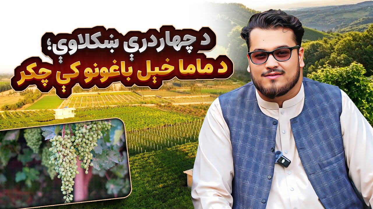 زیبایی‌های چهاردره؛ چکر در باغ‌های ماما خیل |  Chahar Dara: A Stroll Through the Gardens of MamaKhel