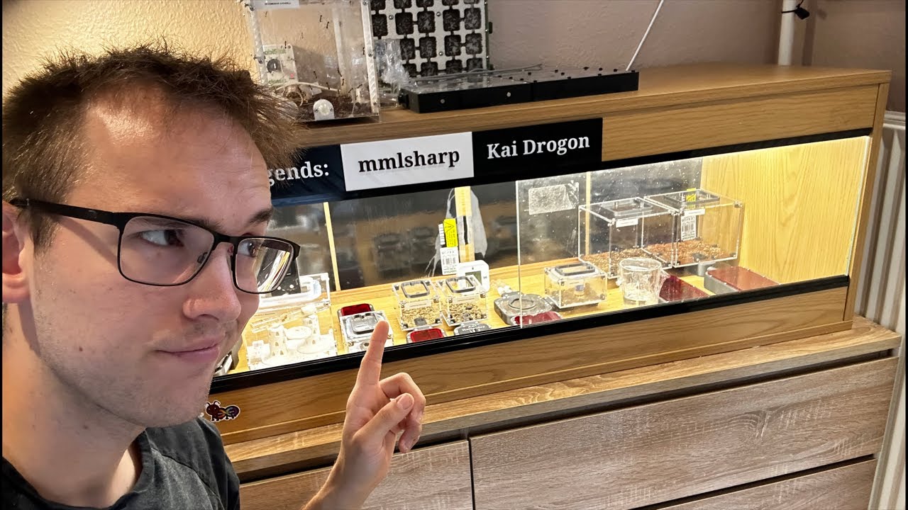 Feeding all my ants live featuring @Antymatters