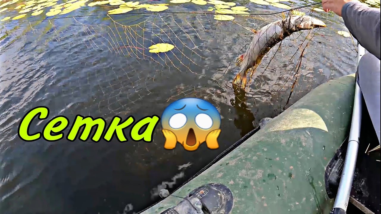 ҚОСТАНАЙ ОБЛЫСЫ. ТОРҒАЙ, ҚАБЫРҒА ӨЗЕНІ. ШОРТАНДАР ( ТОРГАЙ ЩУКИ ) 2-ШІ БӨЛІМ