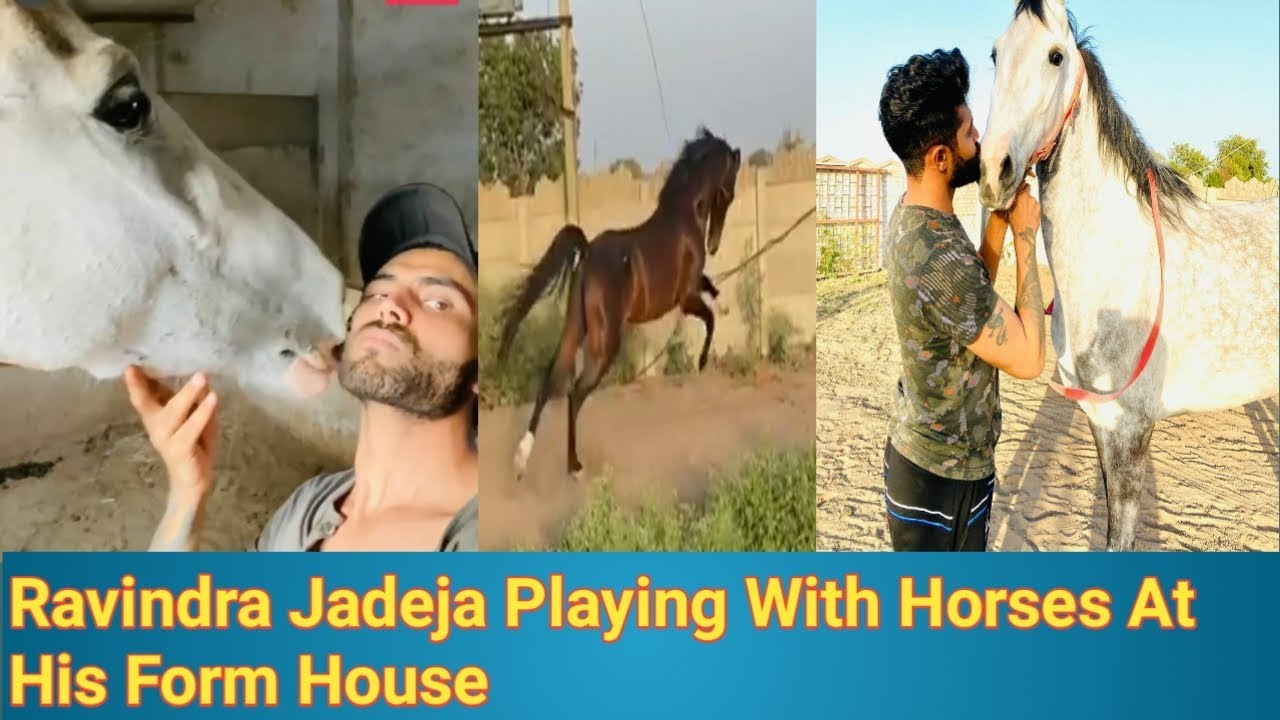 Ravindra Jadeja Playing With Horses At His Form House | Horse Collection and Riding