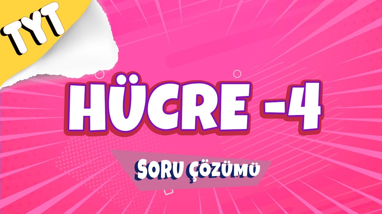 Hücre -4 Soru Çözümü