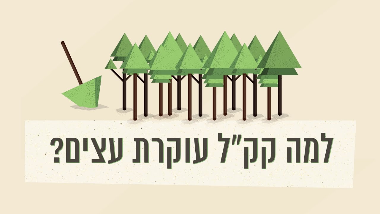 כאן סקרנים | למה קק
