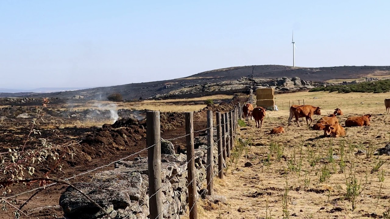 El fuego de Navalacruz, el tercer peor incendio de la historia de España