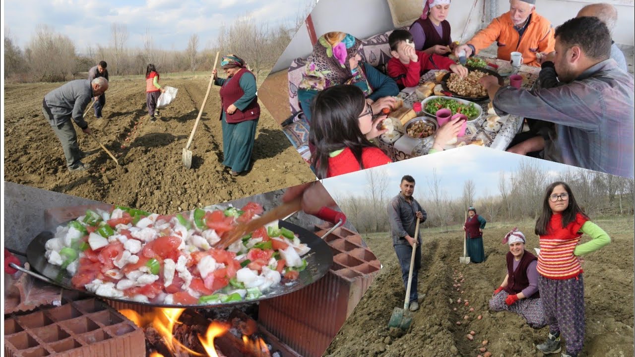 Patates ekimi Bahçe vlogu saç kavurma öğlen yemeği