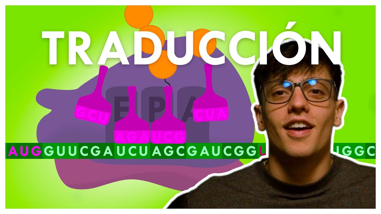TRADUCCI&Oacute;N (ARN a PROTE&Iacute;NA)