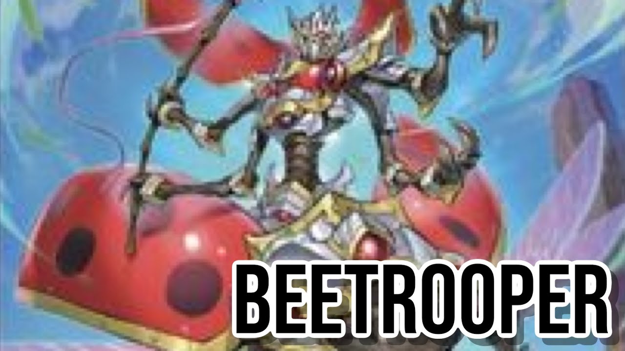 New Yu-Gi-Oh! Dawn of Majesty TCG Exclusive Insect Support! + #Inzektor Hype? 1 Card Xyz Beetrooper