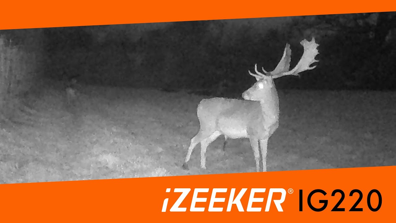 IZEEKER IG220 Trail Camera Review!!