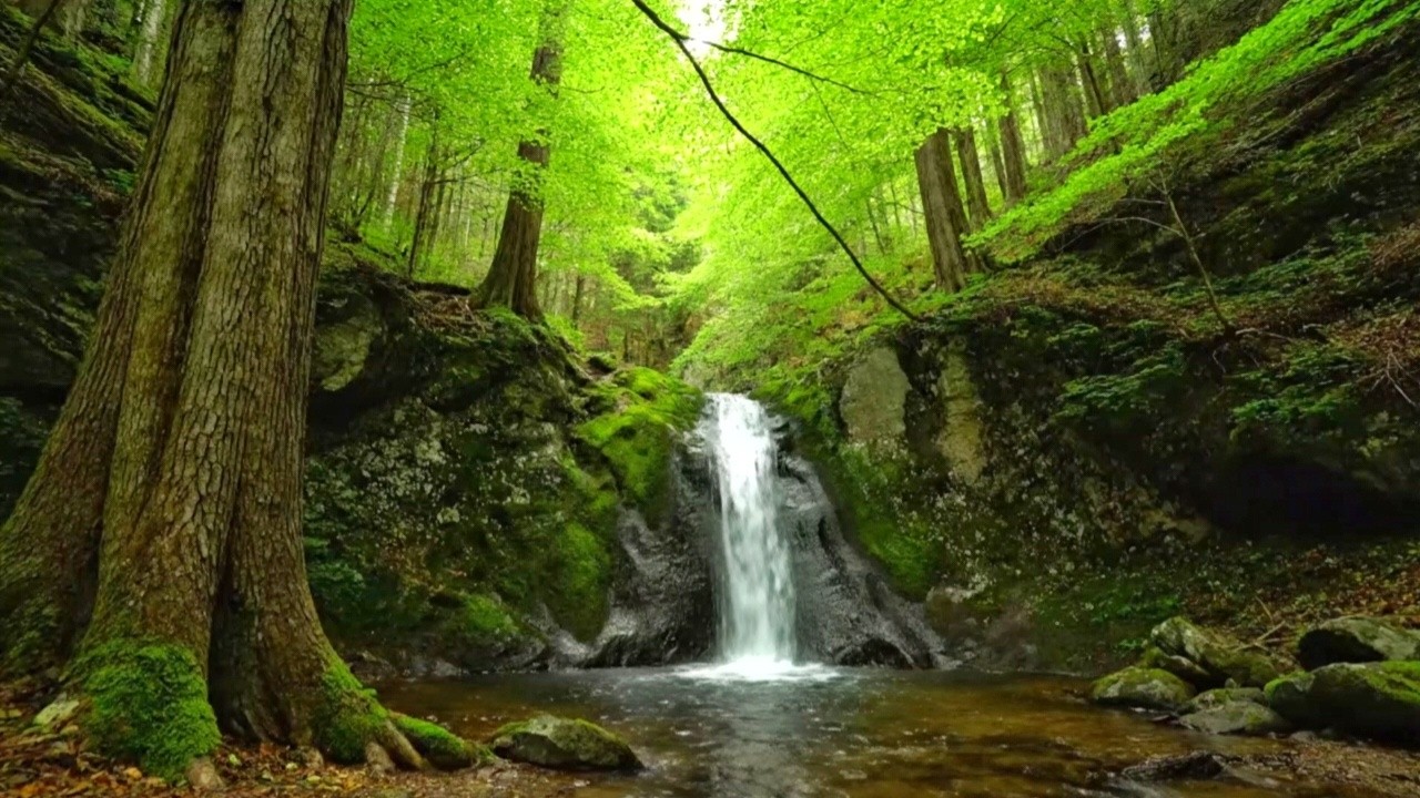 NATURAL WATER FLOW SOUNDS FOR DEEP SLEEP, STUDY AND INSOMNIA RELIEF | PEACEFUL RIVER NIGHT