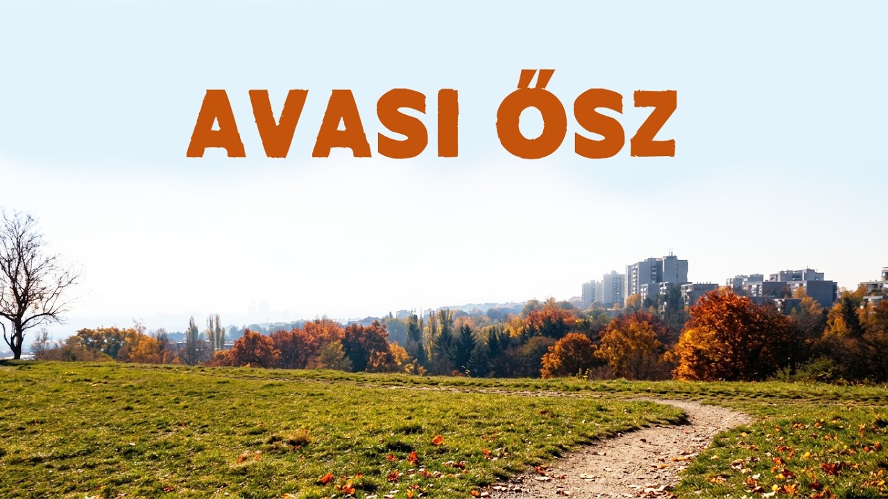 RÖVID ŐSZI TÚRA AZ AVASON