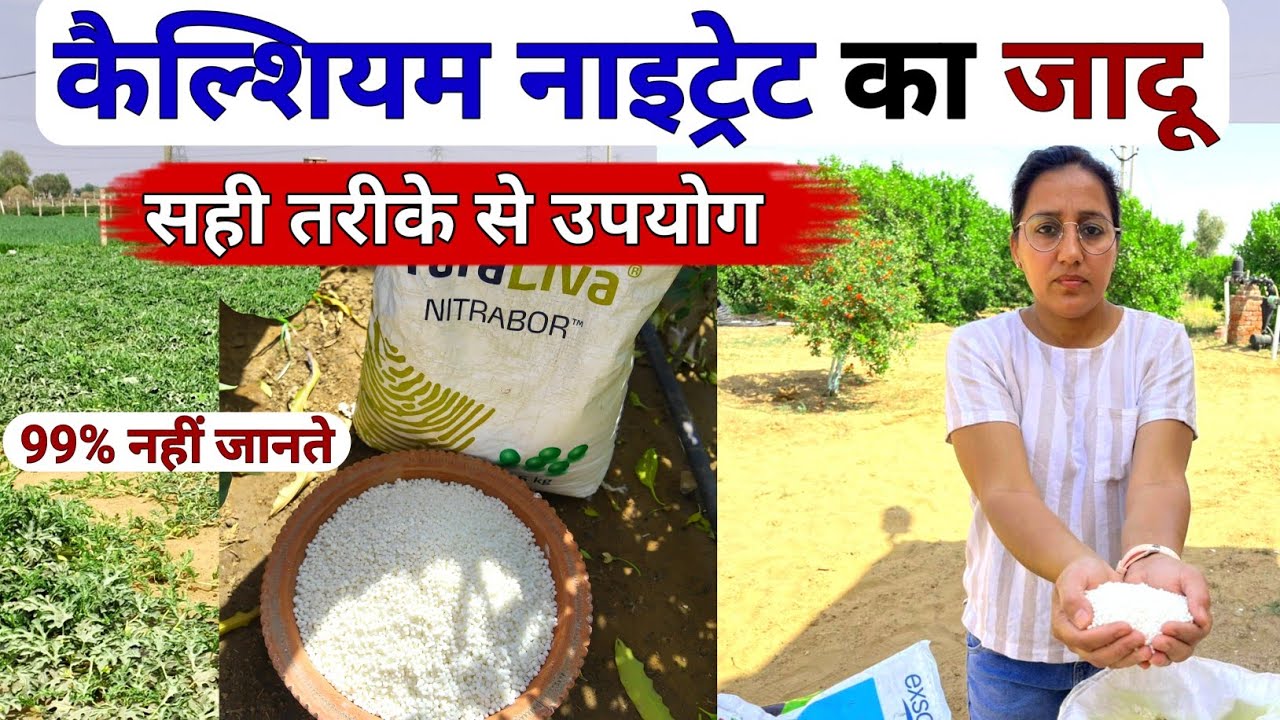 सफल खेती के लिए calcium nitrate fertilizer | calcium nitrate uses with boron |zinc | npk fertilizer
