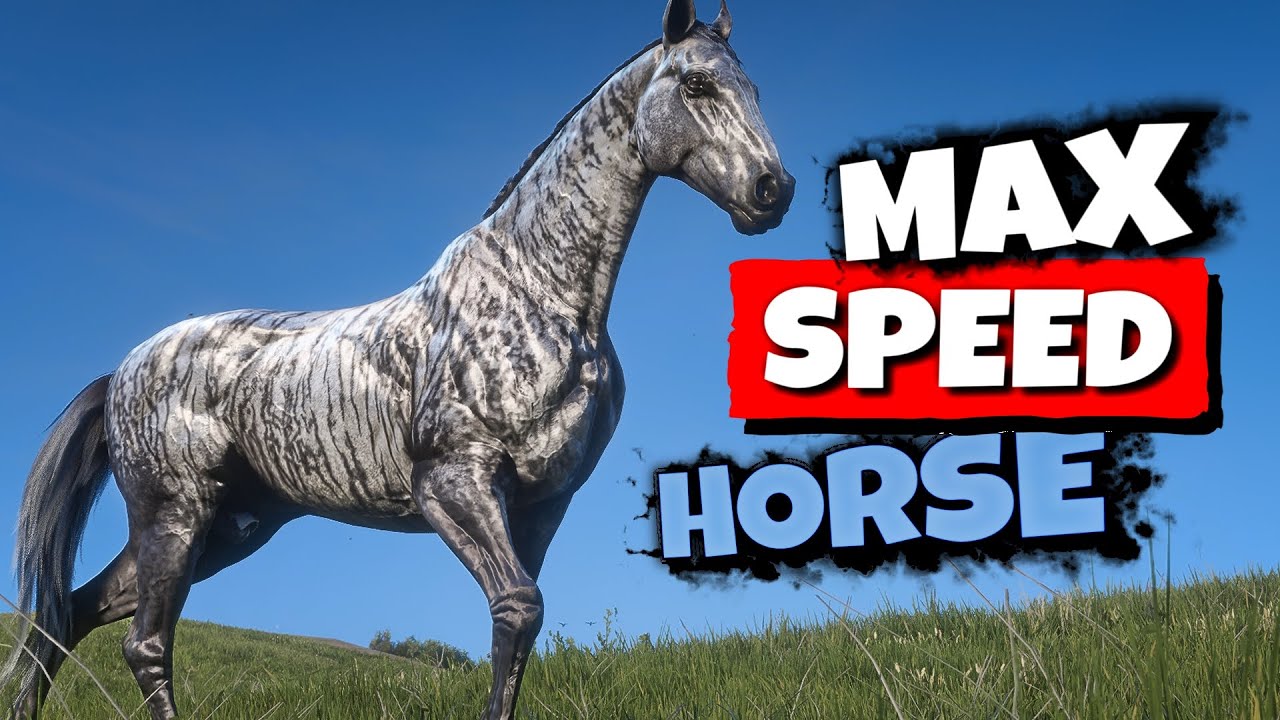 Get the Brindle Thoroughbred FREE   |   RDR2 NEW Stable Glitch