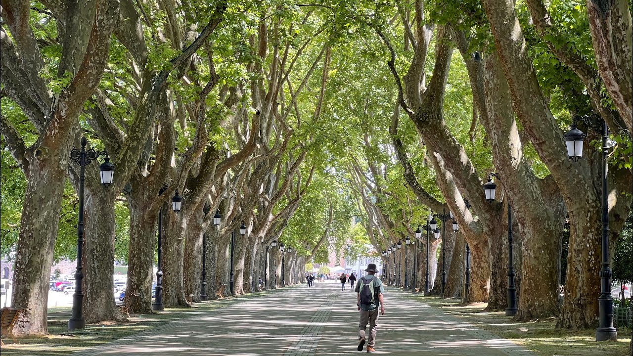 Ponte de Lima: Portugal’s Oldest Village on the Camino
