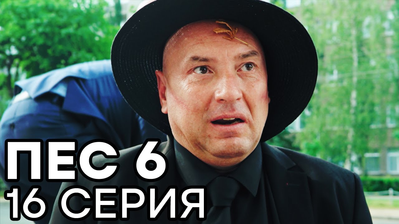 Сериал ПЕС 6 - 6 сезон - 16 серия - ВСЕ СЕРИИ смотреть онлайн | СЕРИАЛЫ ICTV