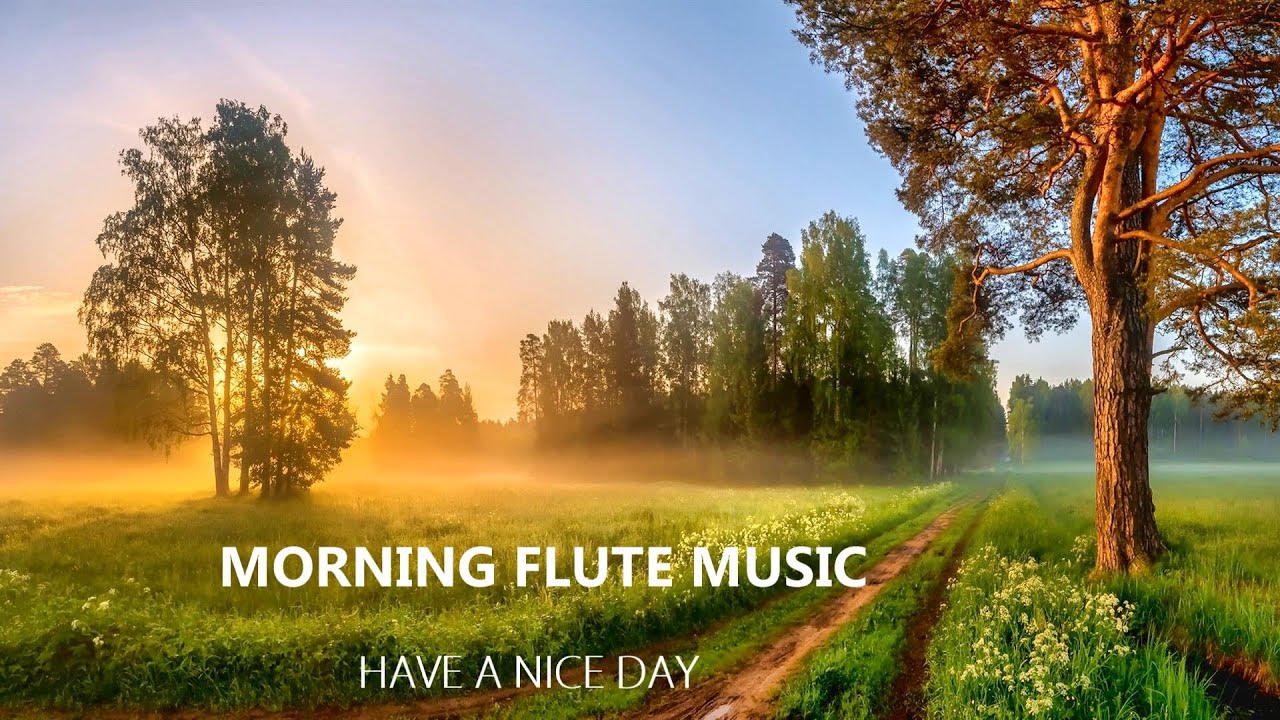 Morning Flute Music | Meditation  Flute Music | HIMALAYAN FLUTE | Mountain Flute,Yoga*144