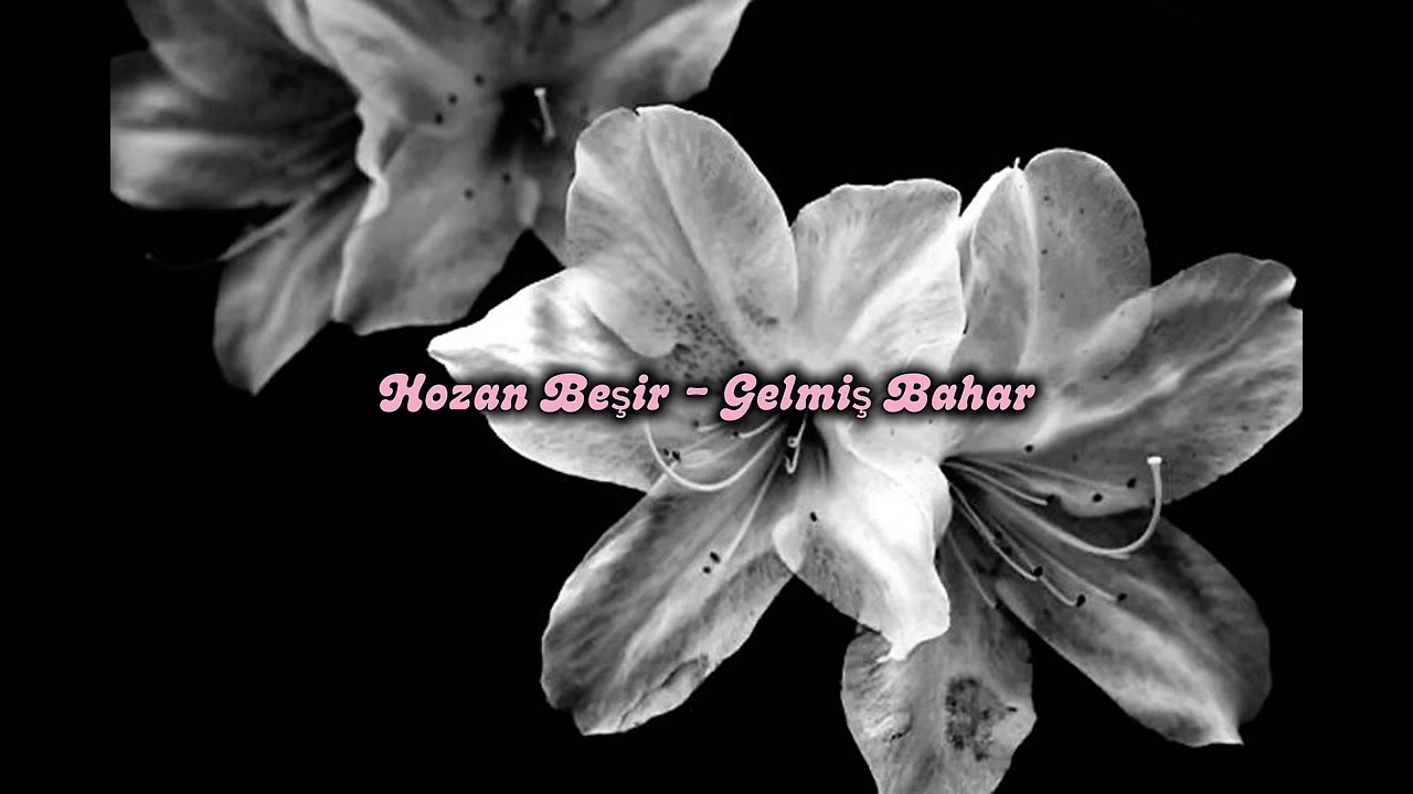 Hozan Beşir - Gelmiş Bahar