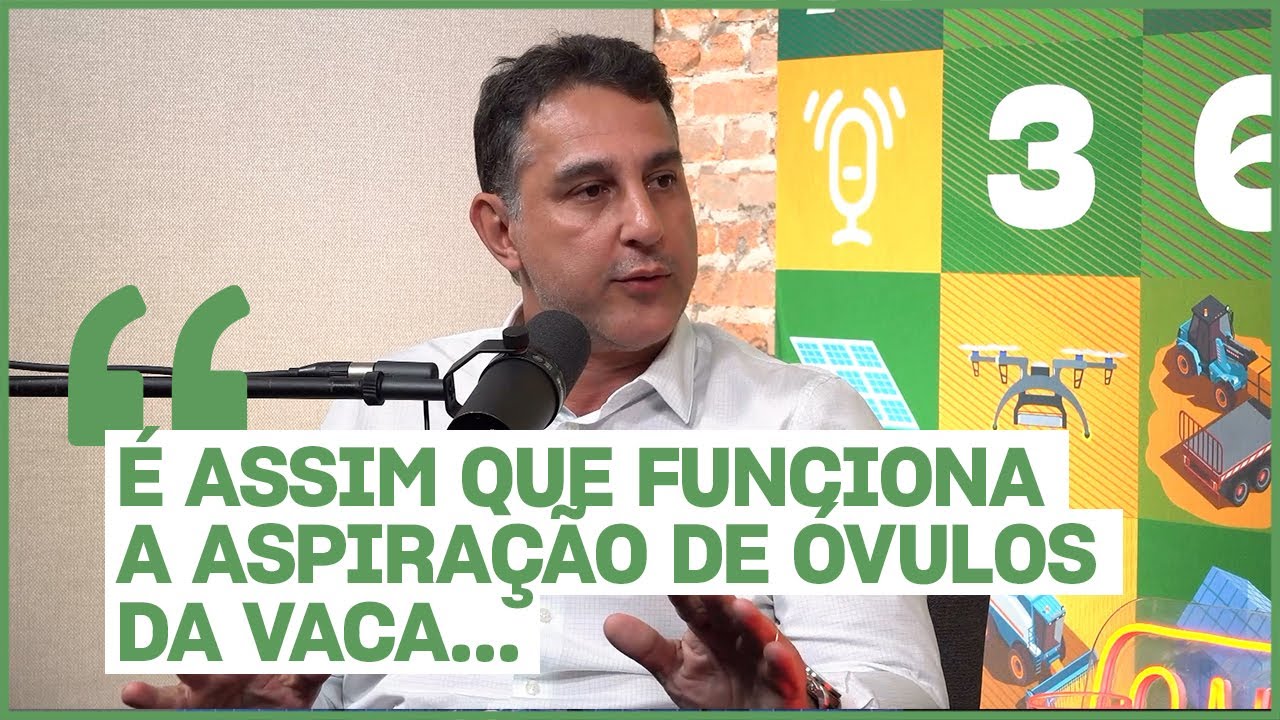 É ASSIM QUE FUNCIONA A ASPIRAÇÃO DE ÓVULOS NA VACA #Agro360podcast