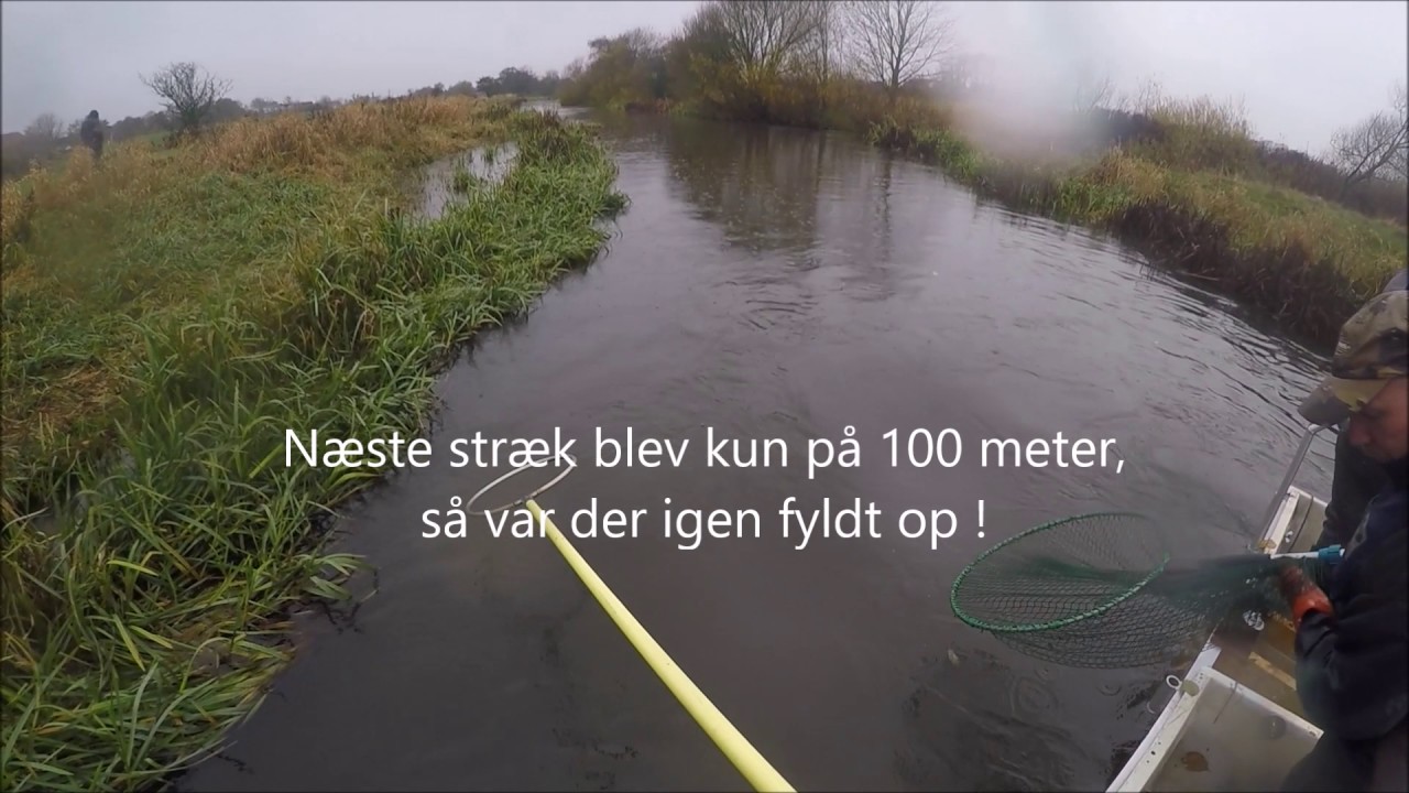 El fiskeri Konge&aring;en 2016 Film