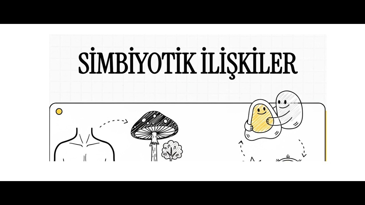 10. Sınıf Biyoloji | Maarif Modeli | Komünitelerde Simbiyotik İlişkiler