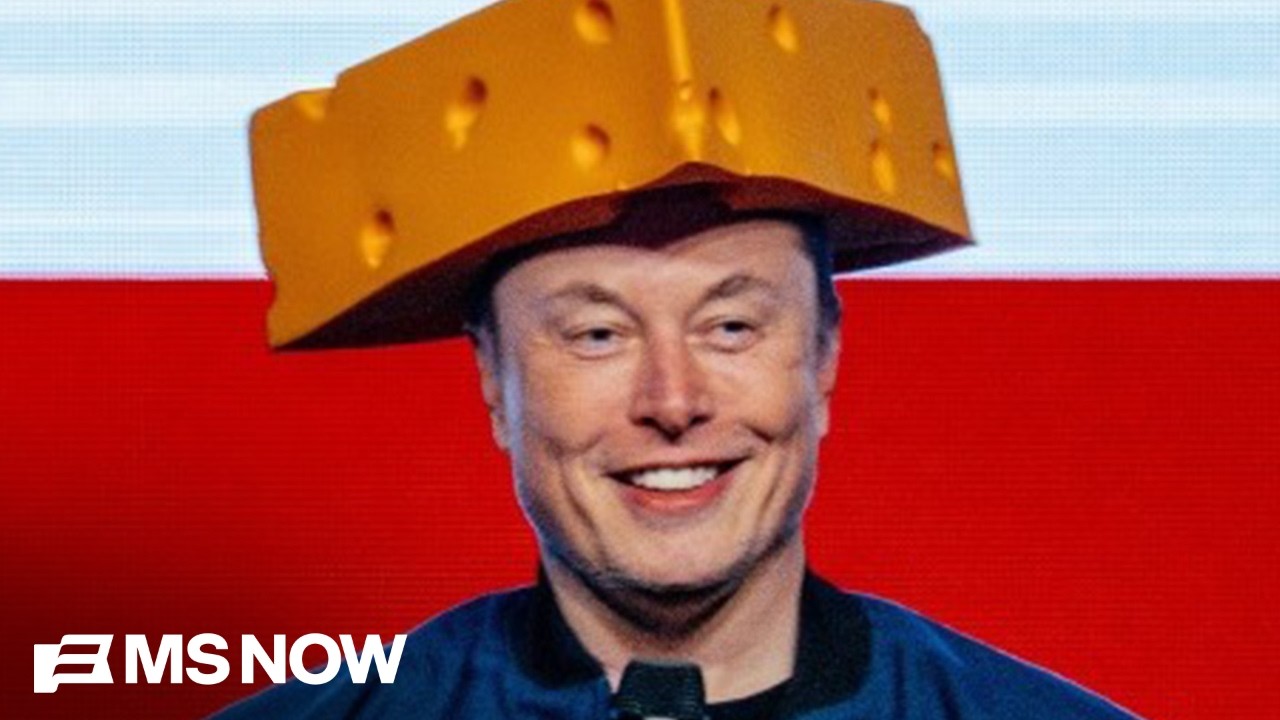 Musk is getting his &ldquo;GRUBBY LITTLE PAWS&rdquo; back in politics