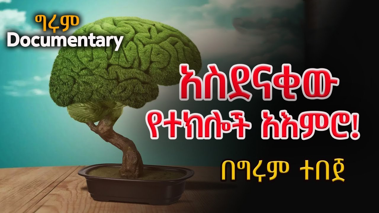 Girum Documentary  - አስደናቂው የተክሎች አእምሮ - በግሩም ተበጀ #GirumTebeje #GirumTereka