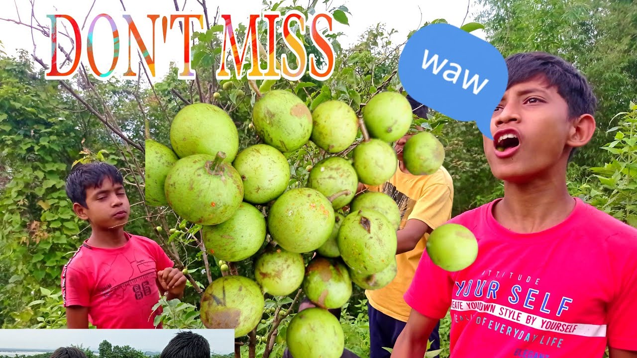 Crazy Governor Plum Eating Challenge 😋😋CRazy team // CRazy A2K Mixture