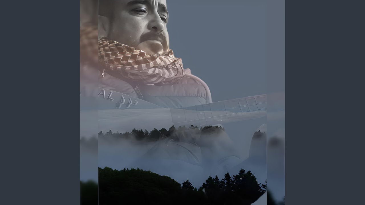 MEDET ALİM