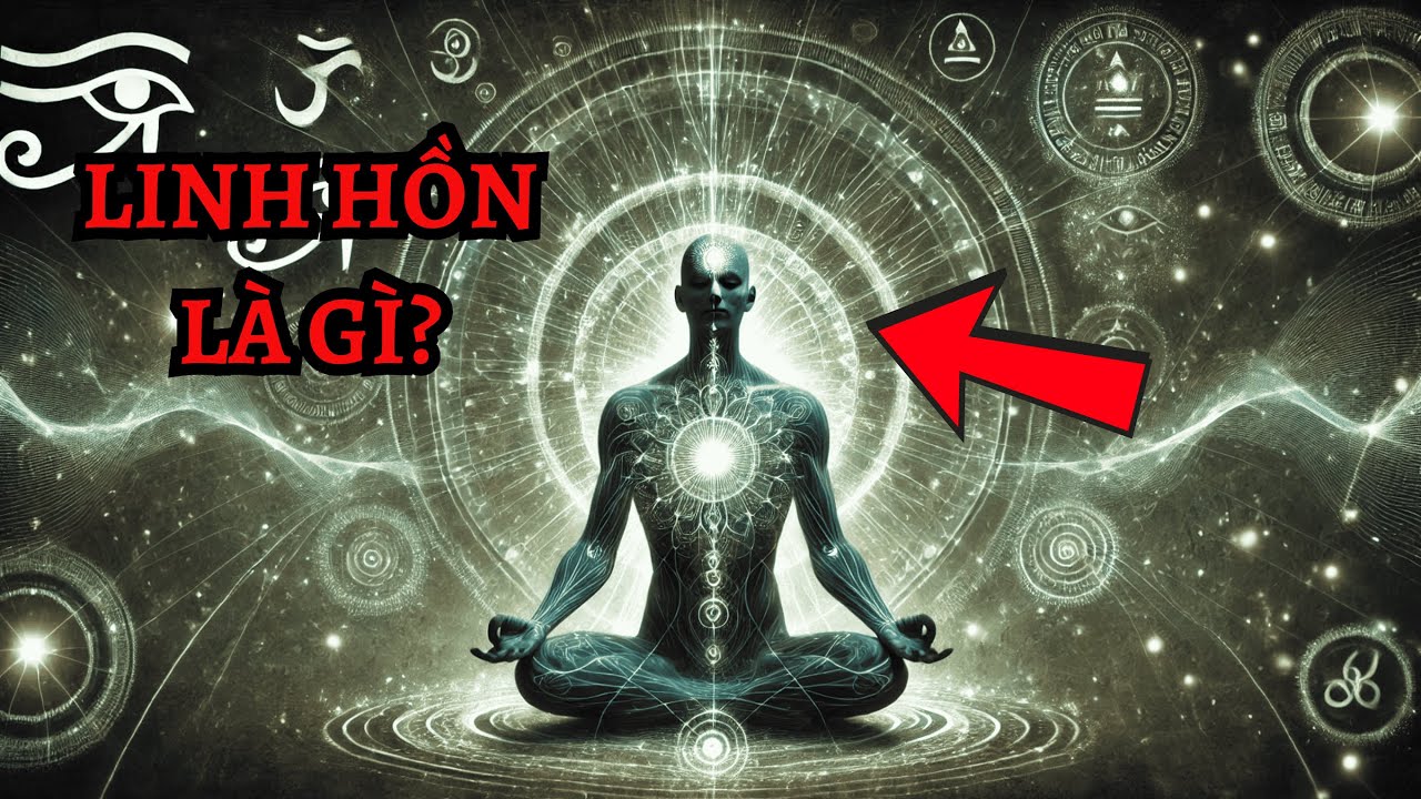 Linh Hồn L&agrave; G&igrave;? H&agrave;nh Tr&igrave;nh Giải M&atilde; Thế Giới B&ecirc;n Trong Cơ Thể Bạn