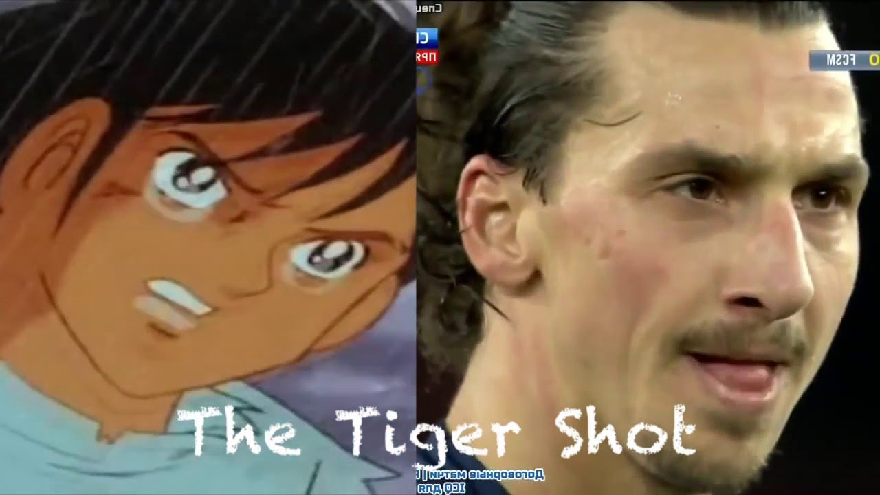 ZLATAN / MARK LANDERS (The Tiger Shot)