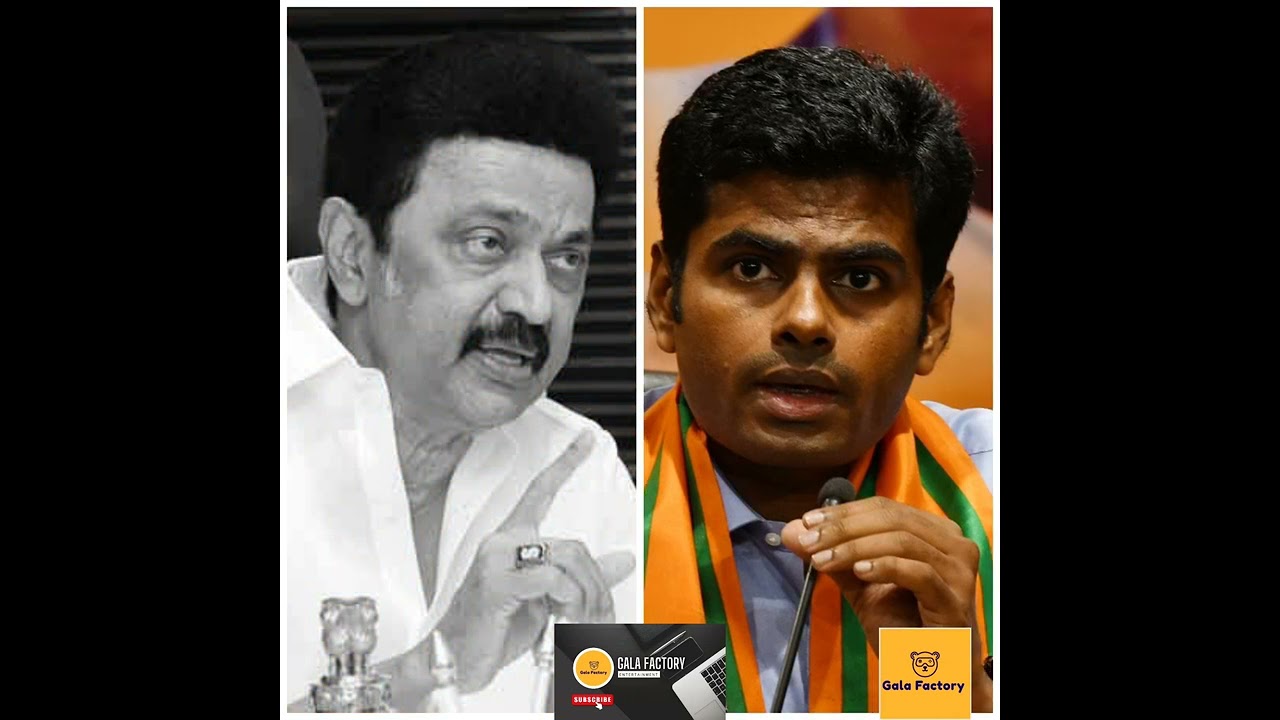 Annamalai VS Stalin CM pressmeet | #stalin #annamalai #dmk #bjp #pressmeet #politics #entertainment