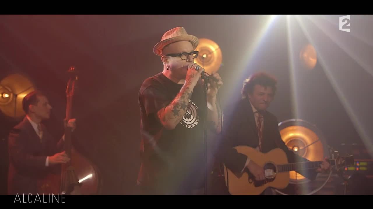 Alcaline, le Concert : Sanseverino - Ce Petit Chemin en live au Trianon
