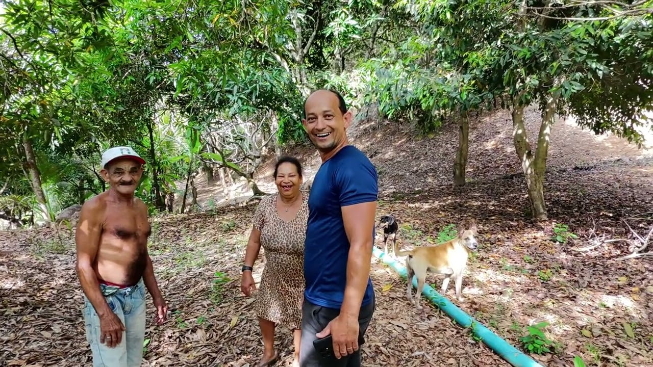 ELES MORAM NESSE PARAÍSO 