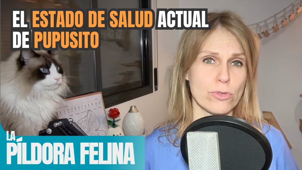 El ESTADO DE SALUD actual de PUPUSITO || 590