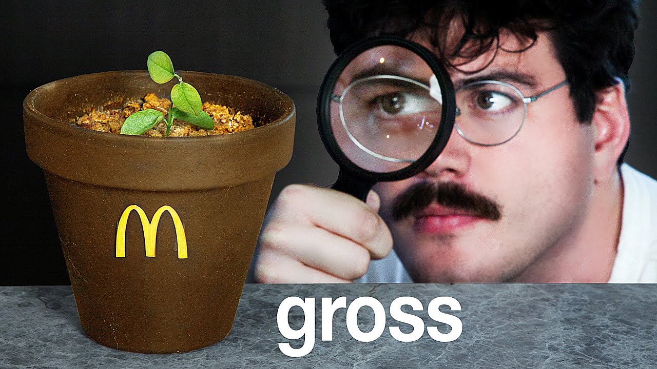 I Grew a Plant from Soil Made from Fast Food