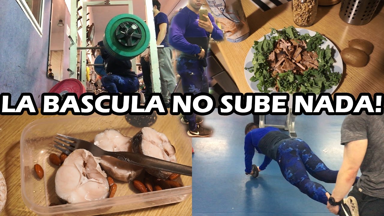 HORA DE ELEVAR KCAL | 5 MESES EN VOLUMEN!