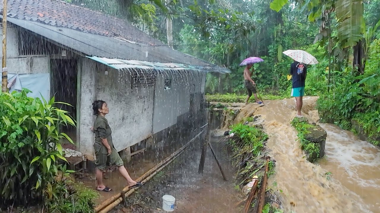 SUASANA SORE YANG TENANG, TURUN HUJAN DAN KABUT DI KAMPUNG NAMBAH BETAH, PEDESAAN SUNDA JAWA BARAT