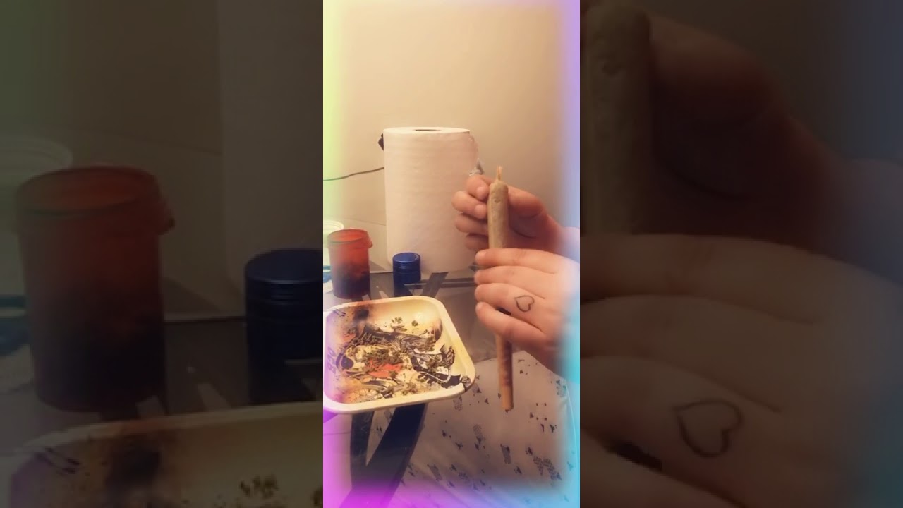 Huge joint filled up / baziado enorme cheio e pronto pra fumar - legalizado