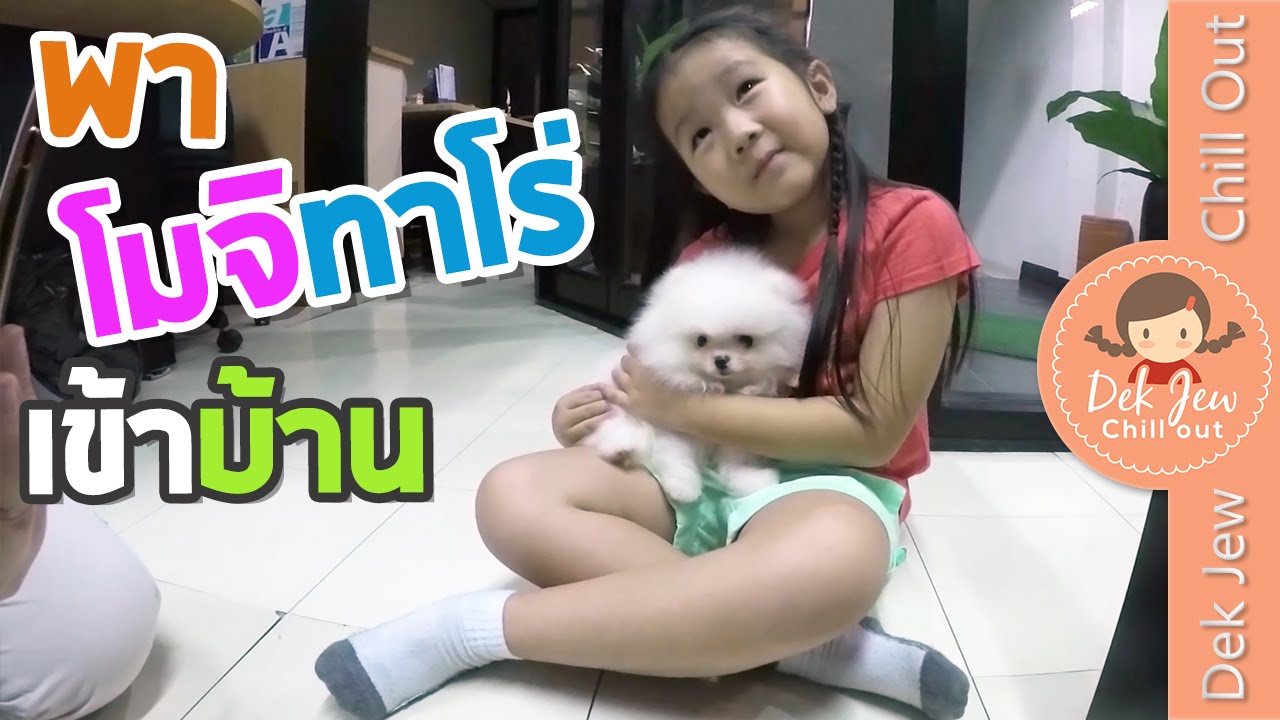 เด็กจิ๋วพาโมจิทาโร่เข้าบ้าน จะอึ๊เหมือนพี่โมโม่ไม๊นะ [N'Prim W334]