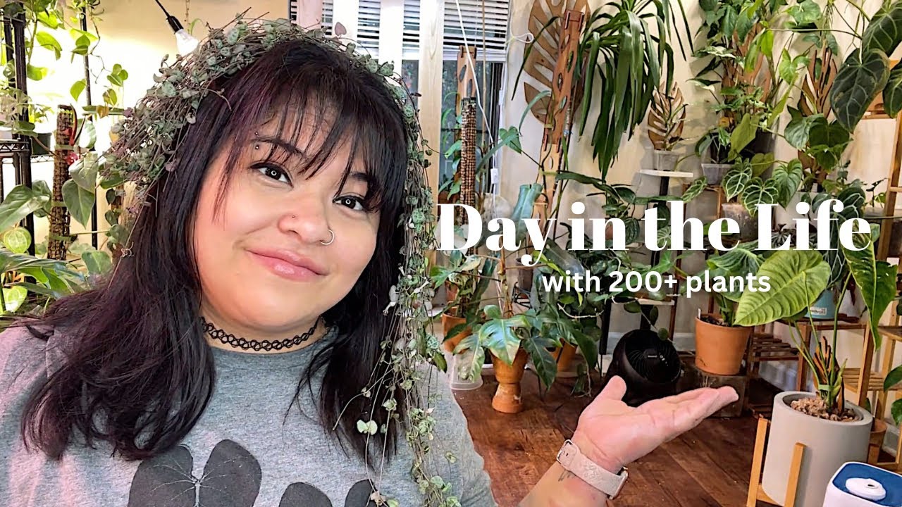 Day in the Life of a Plant Parent With Too Many Plants