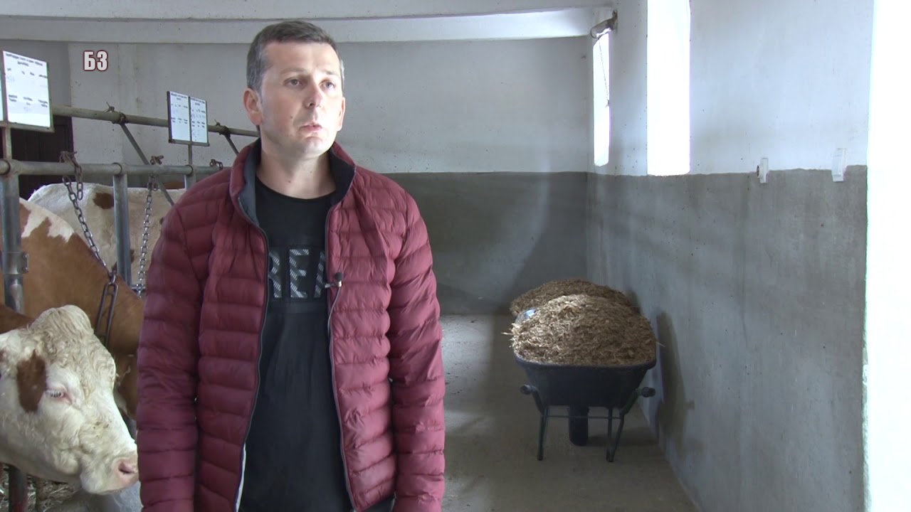 OD LAMA DO SALAMA - Slozno gazdinstvo od 600 clanova - SREDNJA SKOLA U VALJEVU  - evo sta sve imaju