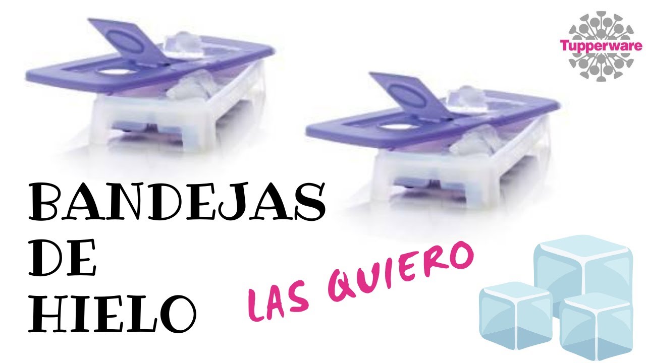 Bandejas para hacer hielo Tupperware
