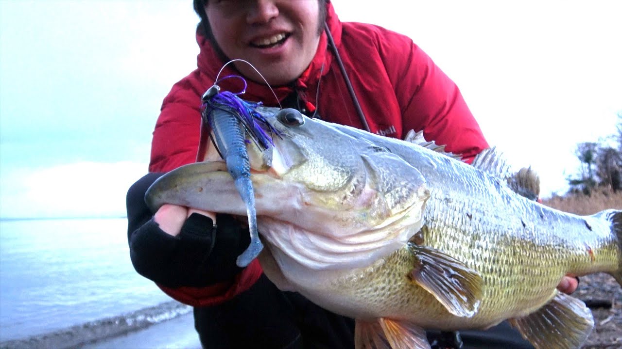 初バスからロクマル釣る奴
